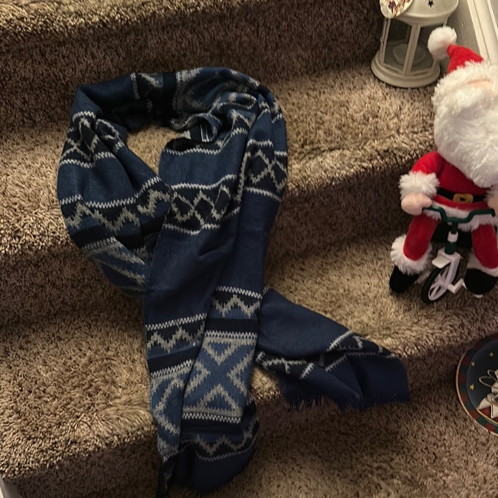 GAP winter Blue Patterned Scarf